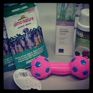 10288791_553351668115448_921212331349019854_n